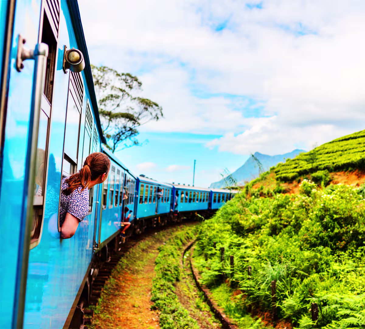 Things to Do in Nuwara Eliya