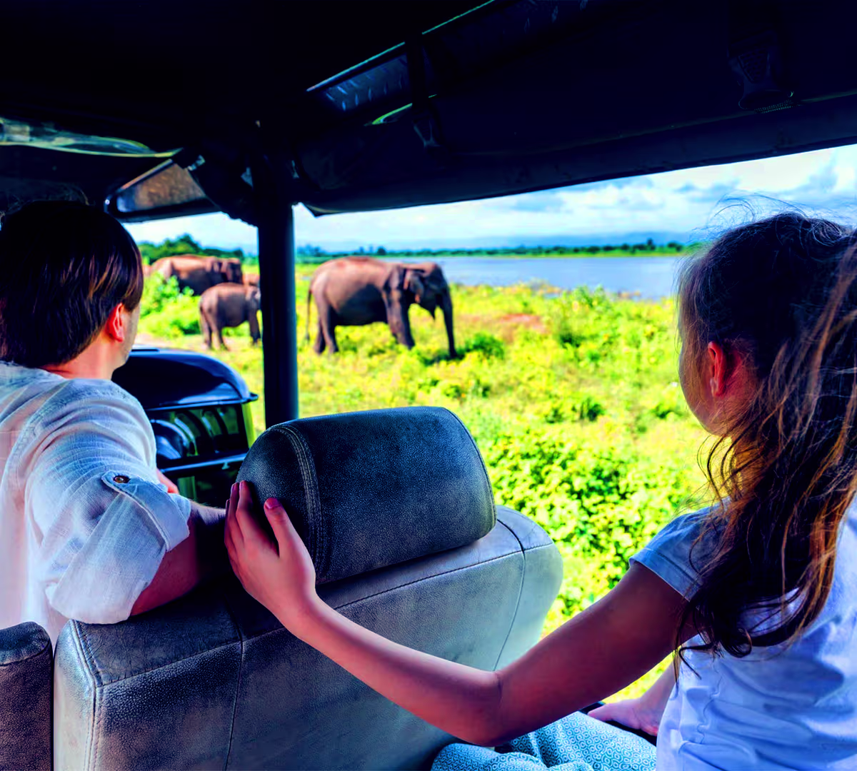 Things to Do in Yala National Park