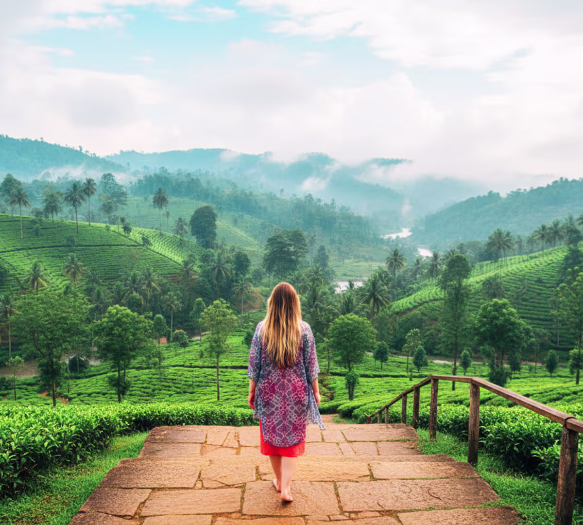 Wayanad – Forests, Waterfalls & Wildlife