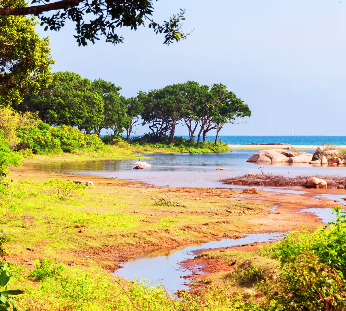 Yala National Park Visitor Center