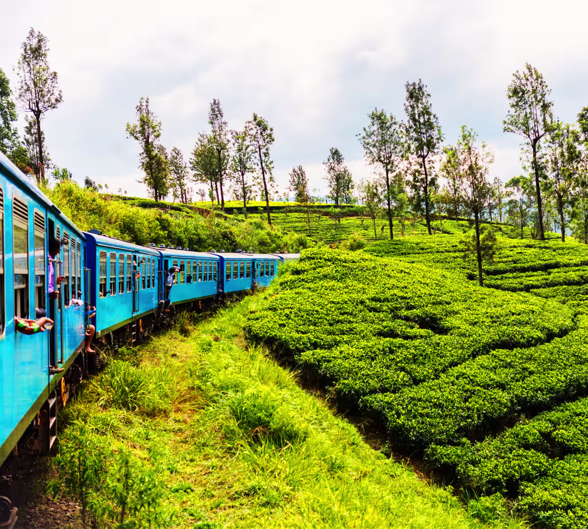 Destination highlights