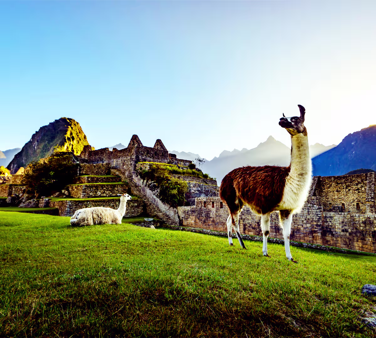Destination highlights