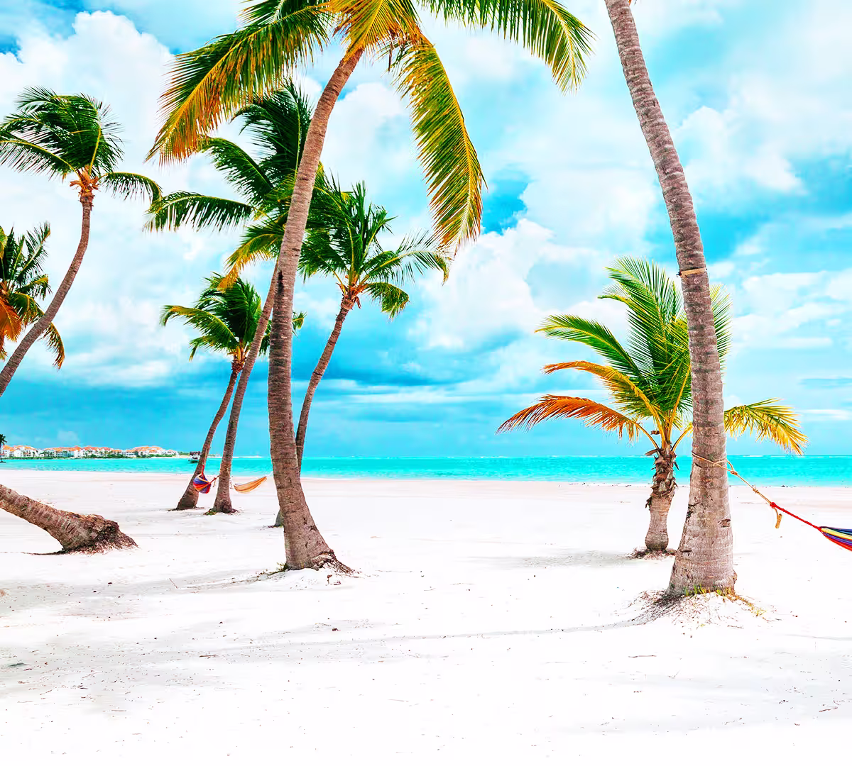 Child holiday category image