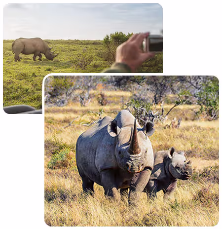 Holiday overview